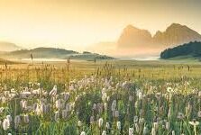 爱情岛AV网站麻豆-危险的迷恋，探秘爱河之濮——一个关于网络诱惑与现实失衡的叙事